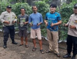 Kapolres Rejang Lebong Menyerahkan Bantuan Bibit Kates Ke masyarakat di Wilkum Polsek PUT.