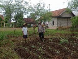 Diharapkan Keberlanjutan Program Ketahanan Pangan Bergizi Dapat Terus Ditingkatkan