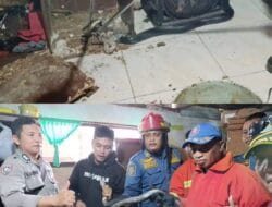 Penemuan king Kobra di Leato Utara Kecamatan Dumbo Raya kota Gorontalo