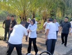 Kunjungan Plt Bupati Ayu Asalasiyah S.ked, Untuk Meninjau Gorong-Gorong Yang Ambruk Di Tanjung Dalom Bumi Agung