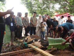 Polres Banyuasin Rayakan Idul Adha 1446 H dengan Sembelih 19 Hewan Kurban, Kapolres: Momentum Perkuat Iman dan Kepedulian Sosial