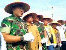 Pangdam I/BB dan Bupati Sergai Laksanakan Panen Perdana.Uji Coba Padi Super Sinar Mentari Capai 10 ton/Ha