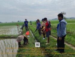 Petani Ramai-ramai Keroyok Penganggu Keamanan