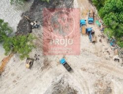 Mangrove Dirusak, Aturan Diabaikan: Projo Kepri Desak Penyelidikan Reklamasi Ilegal”