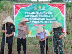 Dukung Instruksi Presiden RI Tentang Pengelolaan Jagung Dalam Negeri, Polres Maros Dorong Petani Jual Hasil Jagung ke Bulog, Polri Siap Kawal