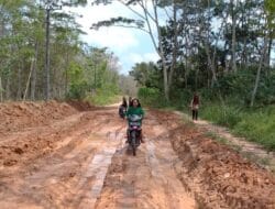 Warga Desa Mesuji Jaya OKI, Inginkan Rehab Jalan Poros