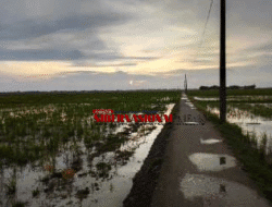 Warga dusun Jamantri 3 keluhkan akses jalan yang minim, tidak bisa di lalui kendaraan roda empat