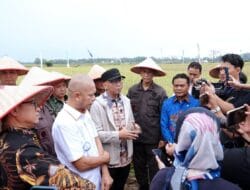 Trimurjo Mantapkan Peran Lampung Tengah sebagai Penopang Pangan Nasional