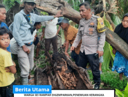 warga SEI Rampah Digemparkan,penemuan kerangka manusia ditemukan Dalam pohon Aren lengkap dengan pakaiannya