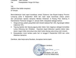 Kesepakatan Harga Ubi Kayu, Pemerintah Pastikan Perlindungan Petani dan Industri