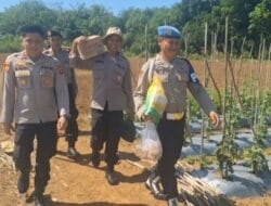 Kompak, Polisi dan Petani Tanam Jagung di Desa Tungkaran